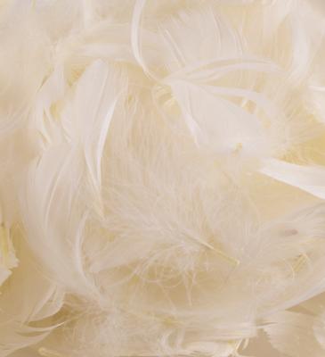 Eleganza Feathers Mixed sizes 3inch-5inch 50g bag Ivory No.61 - Accessories